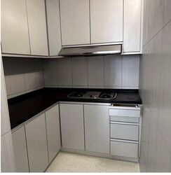 Evergreen View (D14), Apartment #555472051